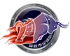 娄底队